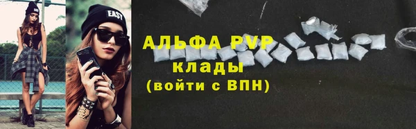 стаф Барнаул