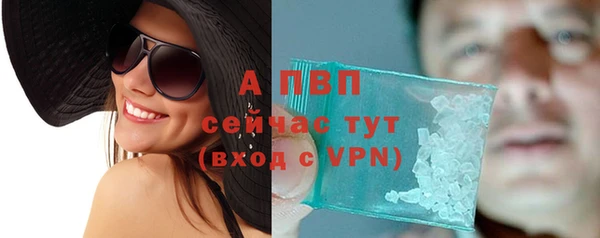 прущая мука Пересвет