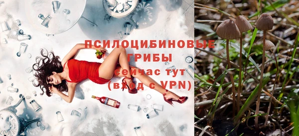спиды Переславль-Залесский