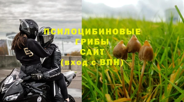 прущая мука Пересвет