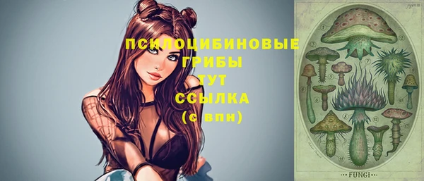 первитин Пестово