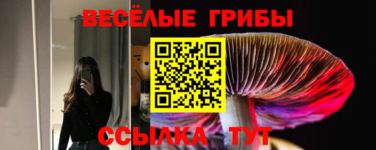 Галлюциногенные грибы ЛСД Асбест